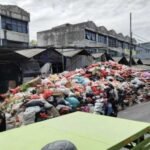 Aneh, Pemkot Tangsel Ingin Tanaman Anggur Jadi Salah Satu Ikon, Tapi DKPPP Malah Kurang Peduli Pada Penggiatnya